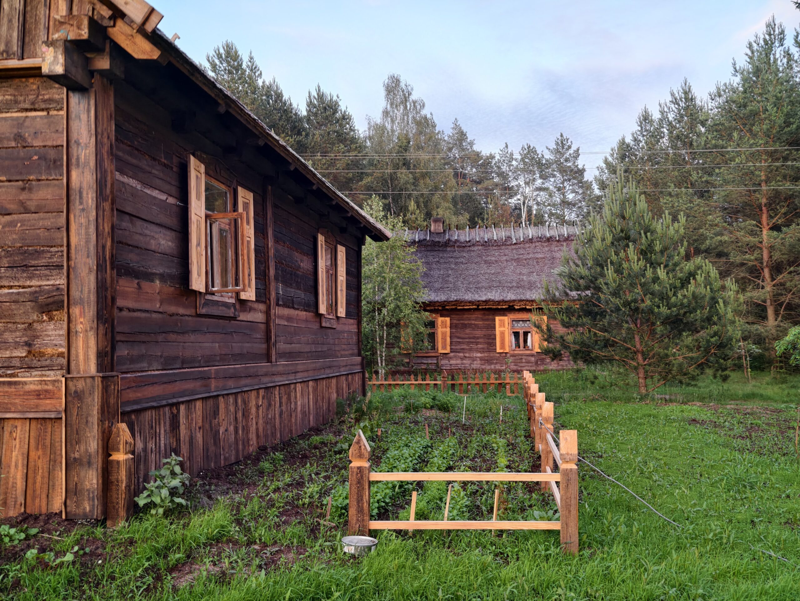 Chata leśna / Forest cottage, zdjęcie / photo 2